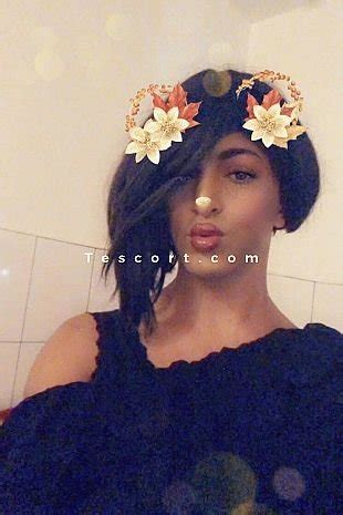 trans escort creteil|Escort Trans TS melissa XXXL en Créteil